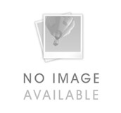 中風常見社會資源