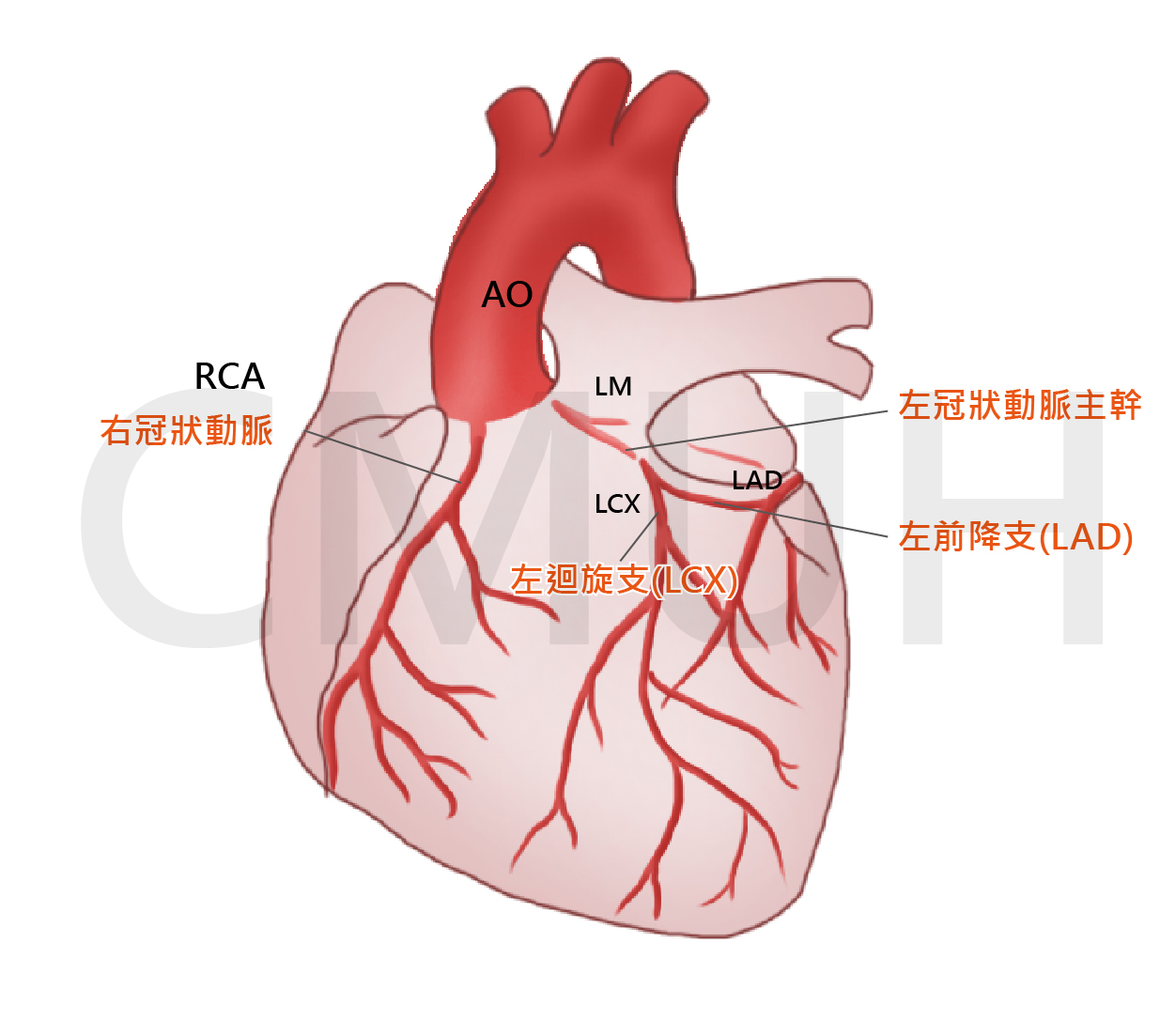 核子醫學掃描