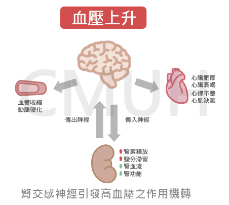 血壓上升