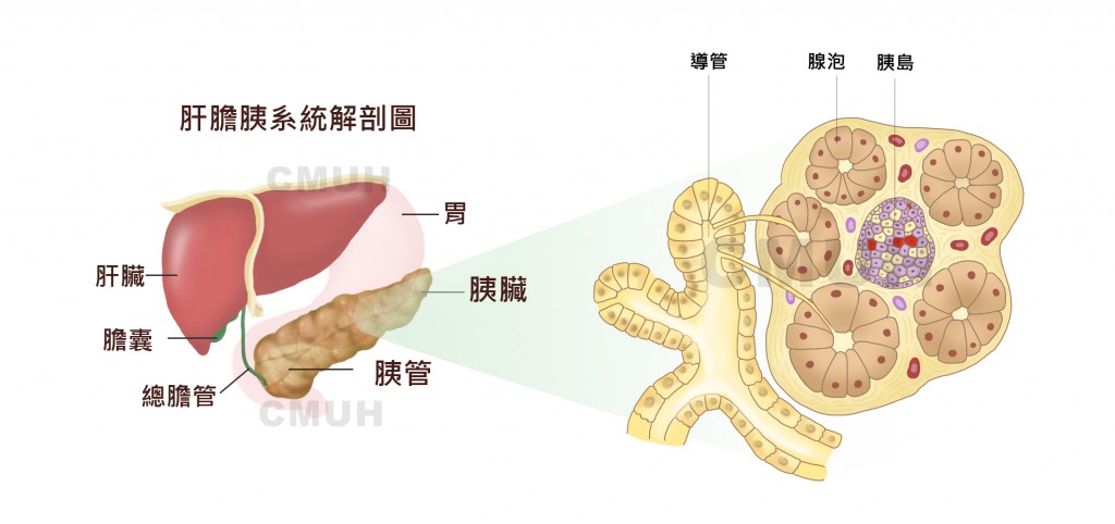 糖尿病01