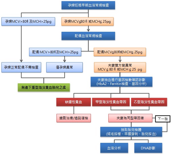 海洋性貧血檢查