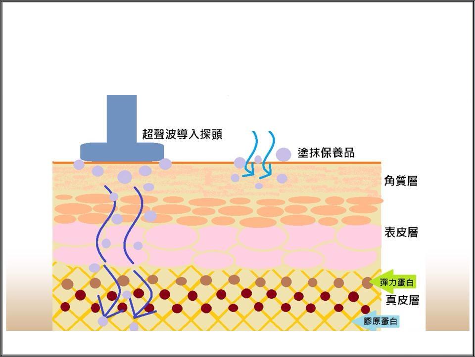 美白導入