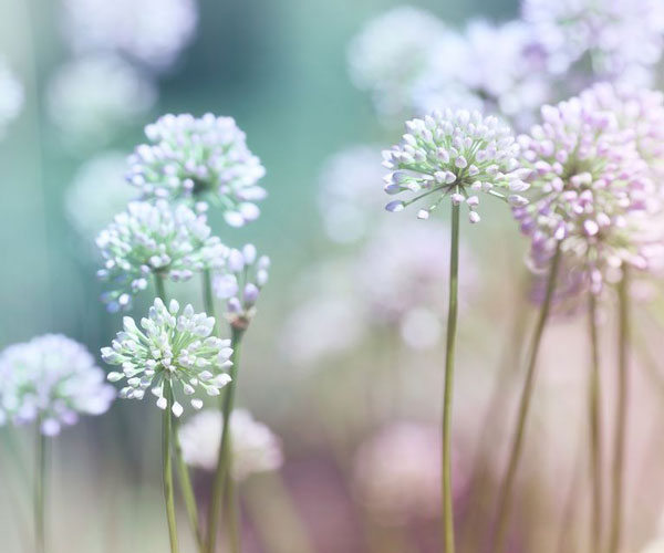 腫瘤病人如何放鬆、快樂