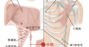 排便訓練