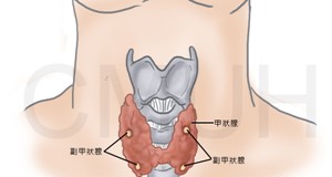 甲狀腺亢進與心臟的異常