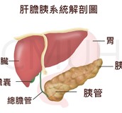 何謂糖尿病