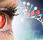 視網膜病的治療