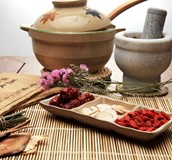 中醫減重面面觀