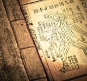 中醫減重-針灸篇