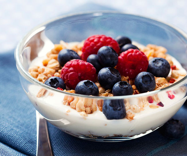 腸道健康與減重