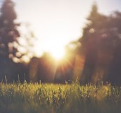 紅斑狼瘡與光敏感