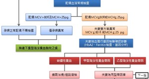 海洋性貧血檢查