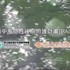 【影音】腦中風急性後期照護計畫