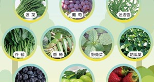 聯合國推薦的10大抗氧化蔬菜