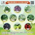聯合國推薦的10大抗氧化蔬菜