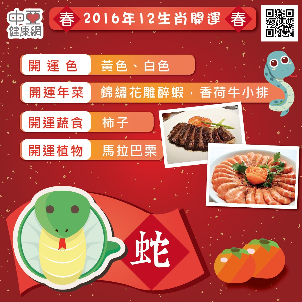 2016年12生肖開運寶典 - 蛇