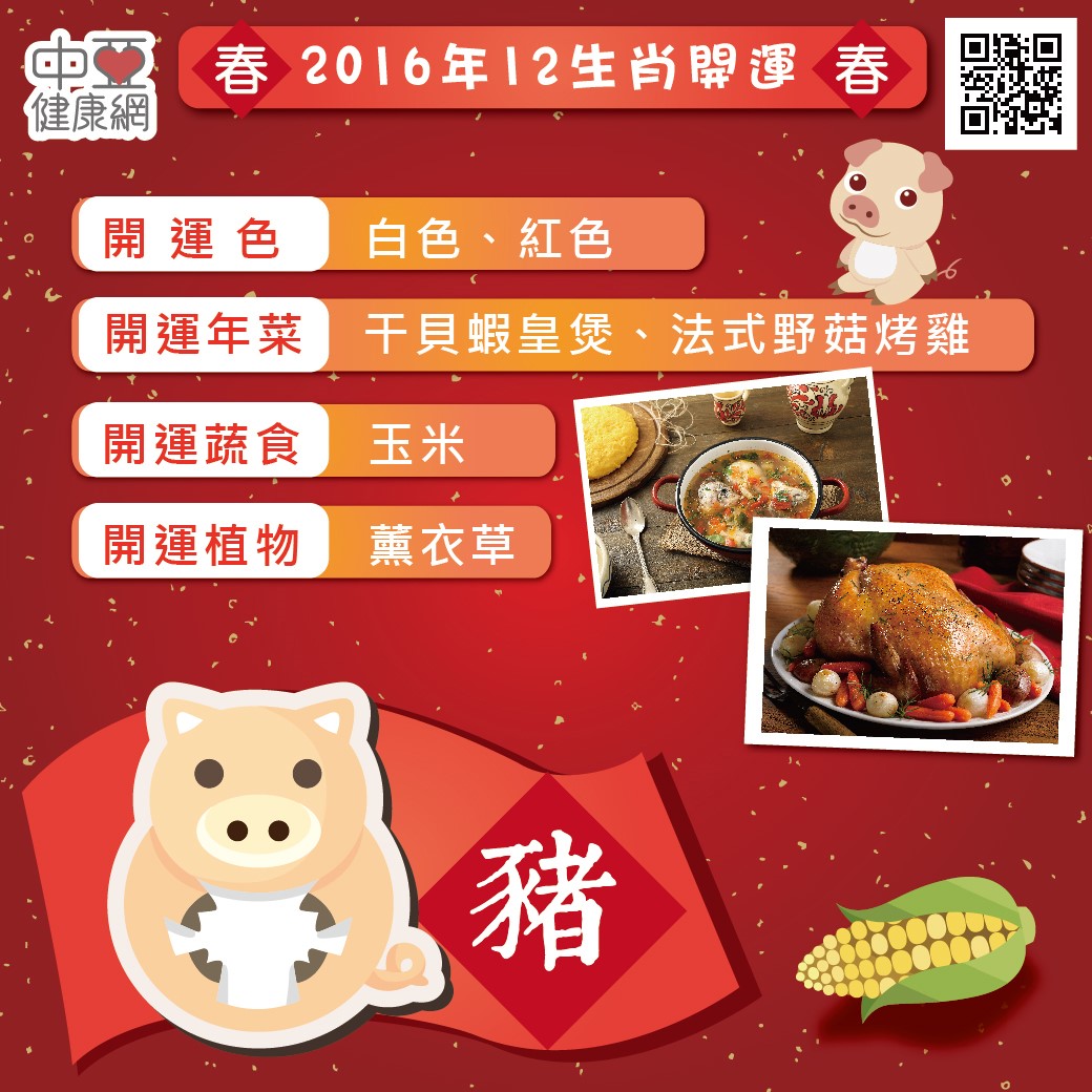 2016年12生肖開運寶典 - 豬