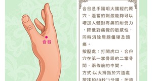 指壓按摩好健康-合谷