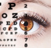 揭秘老年黃斑變性的新機制