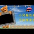 【影音】小兒腦性麻痺穴位推拿按摩