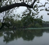 關心您的親善醫師