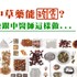 中草藥能治癌？這樣做改善病人生活品質