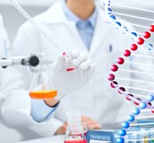 異體幹細胞救心肌！長聖獲美FDA核准臨床一期試驗