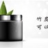 聽說「竹炭產品」可以吸附身體的毒素，這是真的嗎？