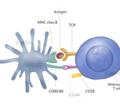 高度惡性皮膚癌!黑色素瘤