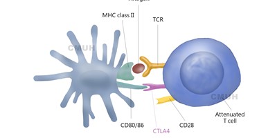 高度惡性皮膚癌!黑色素瘤