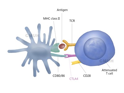 高度惡性皮膚癌!黑色素瘤