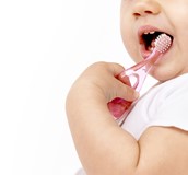 齲齒預防-塗氟及溝隙封填劑