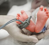 早產兒常見之合併症