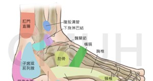 多囊性卵巢症候群