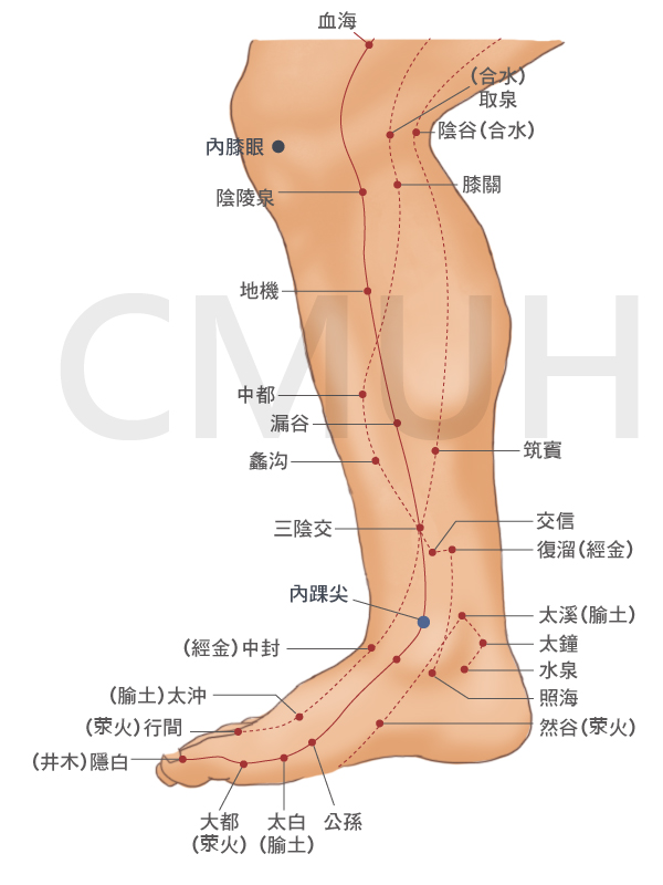 多囊性卵巢