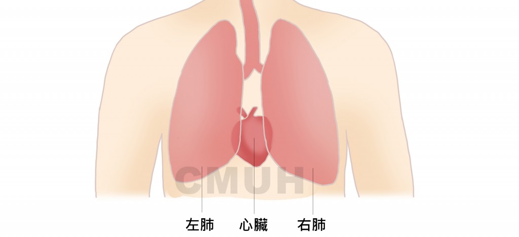 肺栓塞