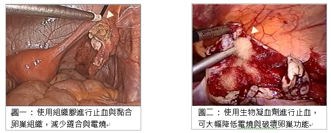 生物凝血劑