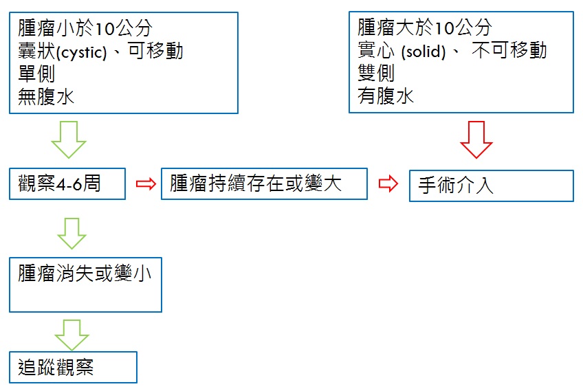 子宮器腫瘤