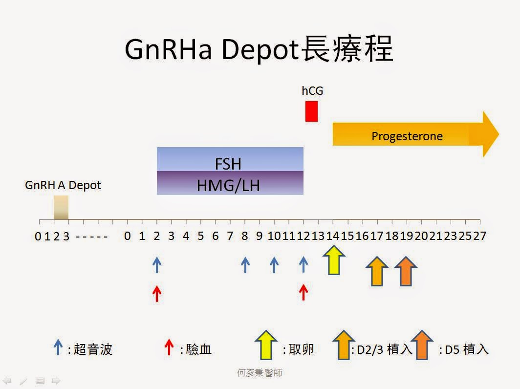 試管嬰兒長療程