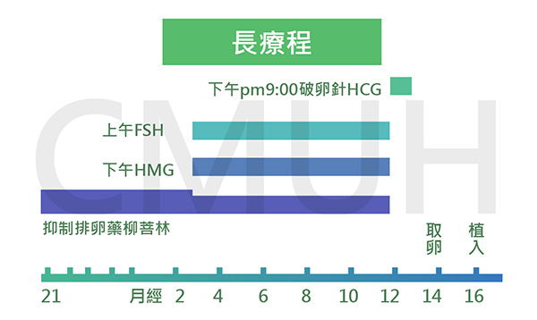 試管嬰兒