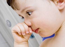 對「貓」過敏 特殊蛋白質惹的禍